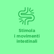 Imm 1